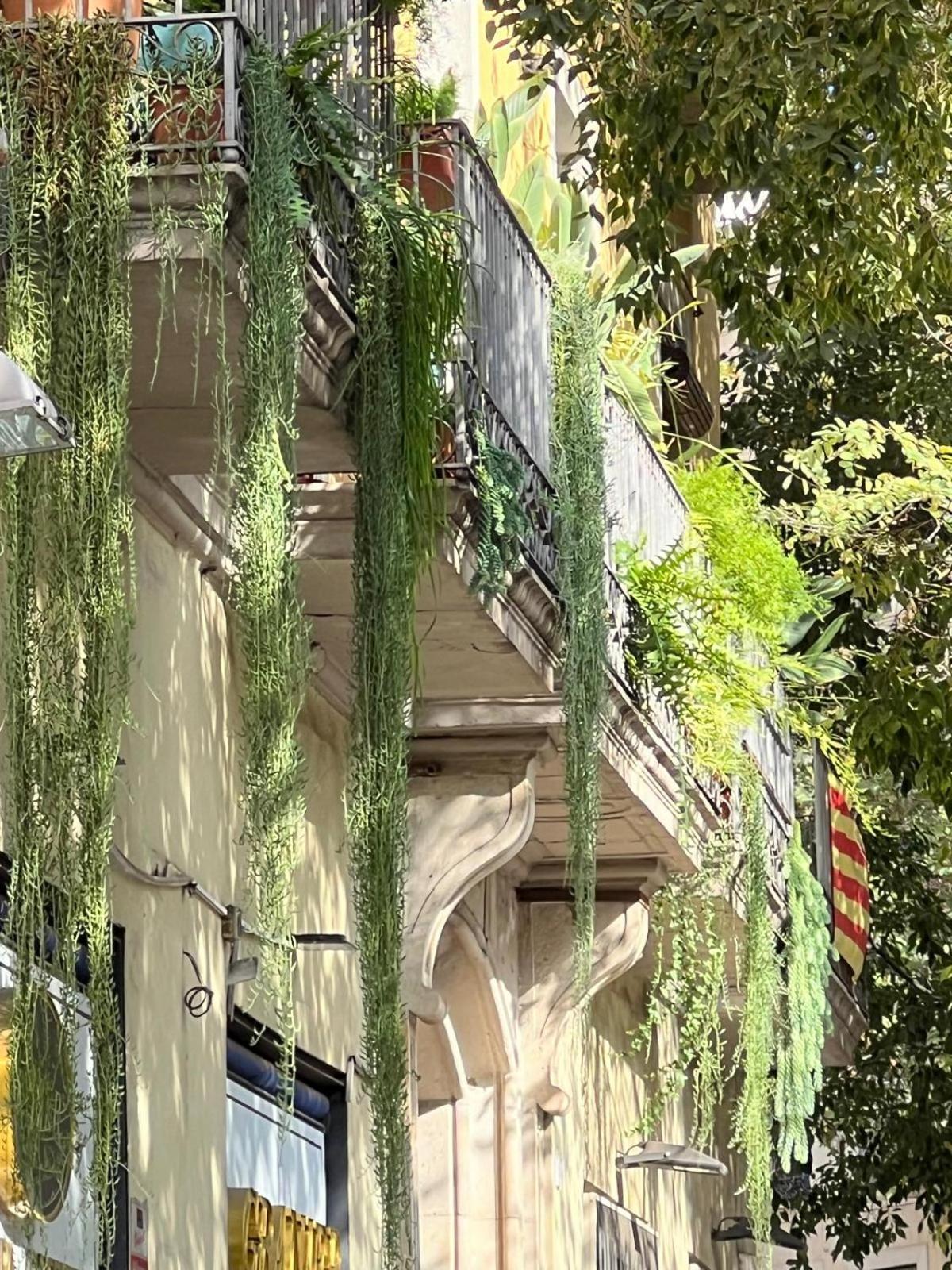 Gasthuis Plaza Goya Barcelona